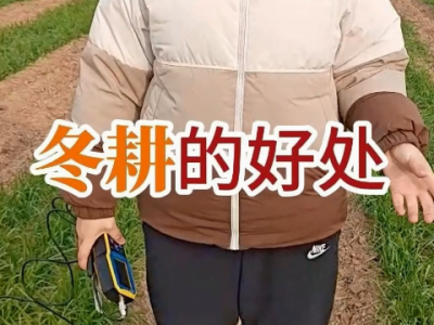 冬耕的好处 ()