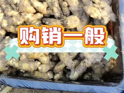 12月17日 安丘黑埠子（购销一般） ()