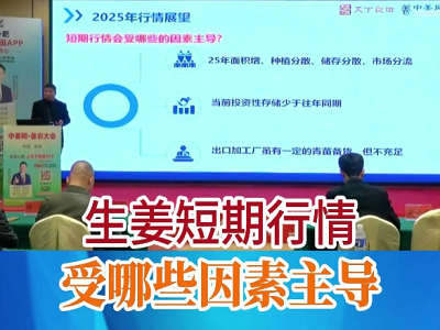 生姜短期行情受哪些因素主导 ()