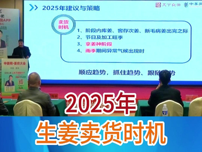 2025年生姜卖货时机 ()