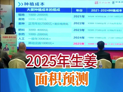 2025年生姜面积预测 ()