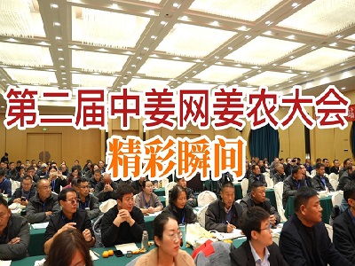 第二届中姜网姜农大会--精彩瞬间 ()