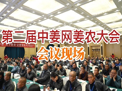 第二届中姜网姜农大会--会议现场 ()