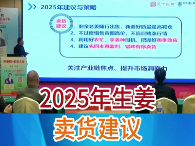 2025年生姜卖货建议 ()