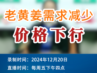 农情漫谈：老黄姜需求减少，价格下行 ()
