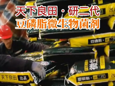 河南姜友团购11吨豆磷脂微生物菌剂紧张发货中... ()