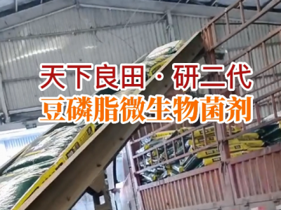 河南姜友团购16.6吨豆磷脂微生物菌剂装车发货中 ()