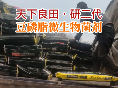 湖北姜友团购13吨豆磷脂微生物菌剂配送到家 ()