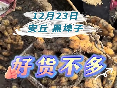 12月23日 安丘黑埠子（好货不多） ()