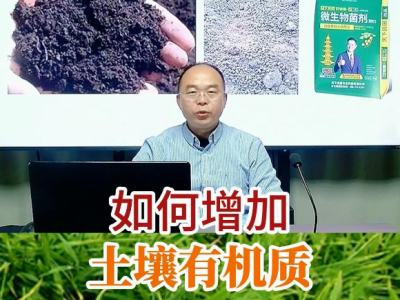 如何增加土壤有机质？ ()