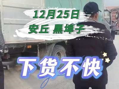 12月25日 安丘黑埠子（下货不快） ()