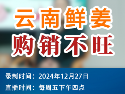 农情漫谈：云南鲜姜购销不旺 ()