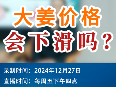农情漫谈：大姜价格会下滑吗？ ()