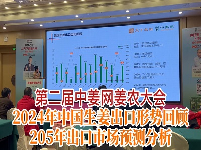 专家讲座：中国生姜出口回顾及预测分析 ()