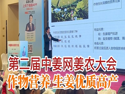 专家讲座：作物营养 生姜优质高产 ()