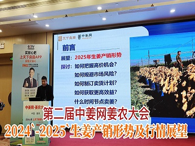 专家讲座：2024-2025年生姜产销形势及行情展望 ()