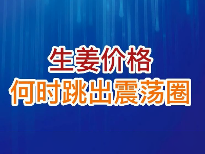 老石说姜：生姜价格何时跳出震荡圈？ ()