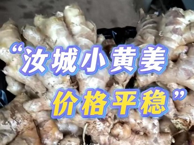 1月8日 生姜价格行情（汝城小黄姜价格稳） ()