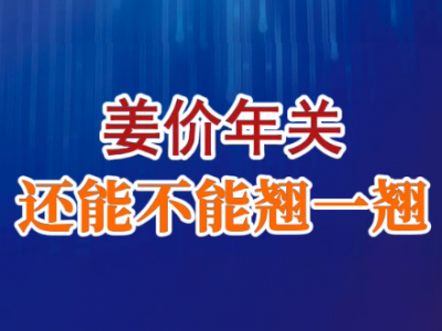 老石说姜：姜价 年关还能不能翘一翘？ ()