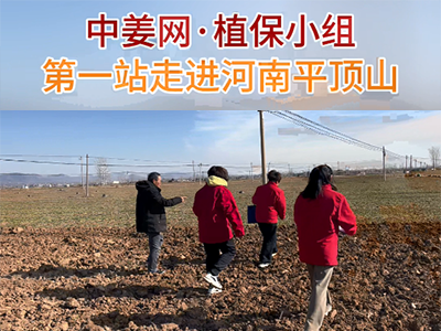 中姜网植保小组走进河南平顶山 ()