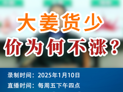 农情漫谈：大姜货少，价为何不涨？ ()