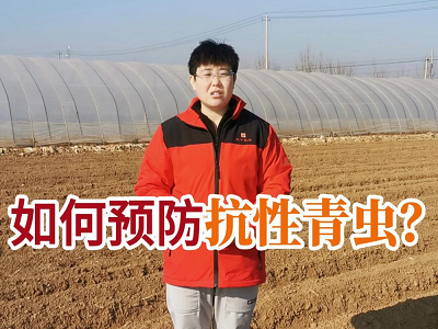 如何预防抗性青虫？ ()