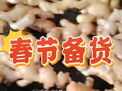 1月13日 生姜价格行情（春节备货开始） ()