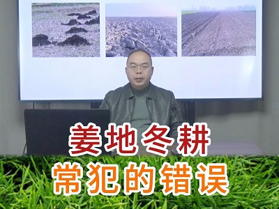 姜地冬耕常犯的错误 ()