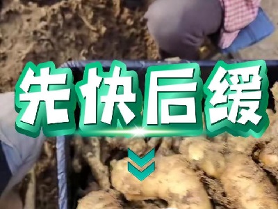 1月17日 安丘黑埠子（先快后缓） ()