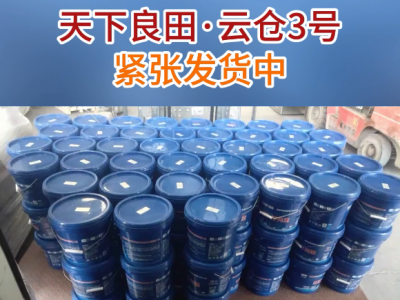 种姜时土壤容易出现哪些问题？ ()