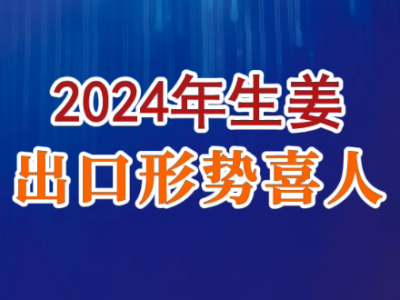 老石说姜：2024年生姜出口形势喜人 ()