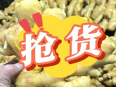 1月21日 生姜价格行情（抢货） ()