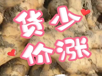 1月22日 安丘黑埠子（货少价涨） ()