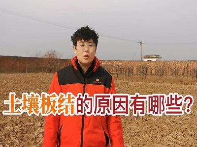 土壤板结的原因有哪些？ ()