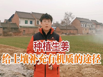 给土壤补充有机质的途径 ()