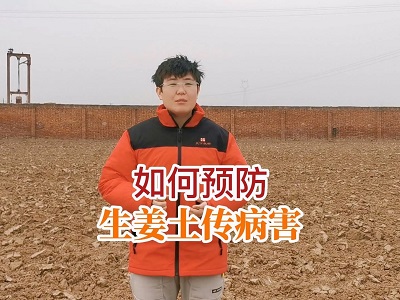 如何预防生姜土传病害 ()