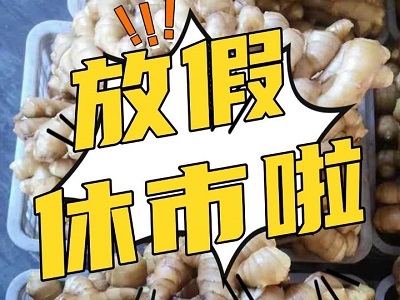 1月24日 生姜价格行情（放假休市啦！） ()