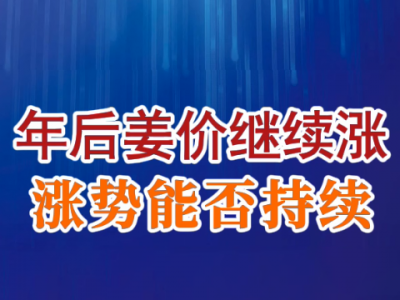 老石说姜：年后姜价继续涨 涨势能否持续？ ()