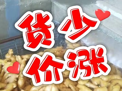 2月6日 生姜价格行情（货少价涨） ()
