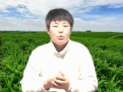 生姜底肥用哪些？ ()