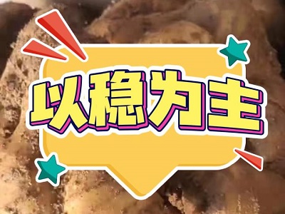 2月8日 安丘黑埠子（以稳为主） ()