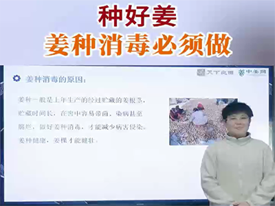 种好姜：姜种消毒必须做 ()