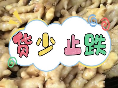 2月12日 生姜价格行情（货少 止跌） ()