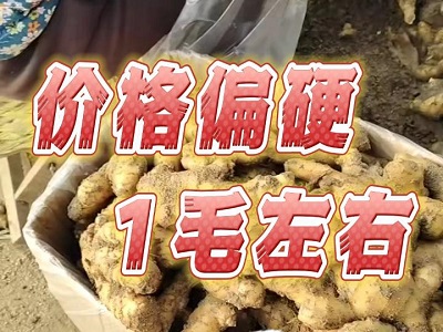 2月14日 安丘黑埠子（价格偏硬1毛） ()