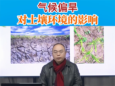 气候偏旱对土壤环境的影响 ()