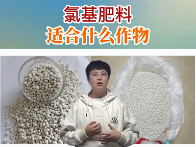 氯基肥料适合什么作物？ ()