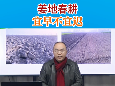 姜地春耕宜早不宜迟 ()