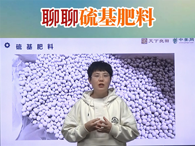 聊聊硫基肥料 ()