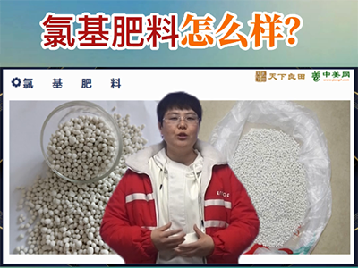 氯基肥料怎公样？ ()