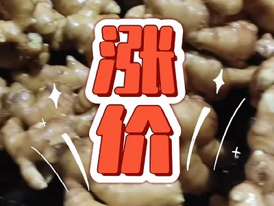 2月15日 生姜价格行情（涨价） ()